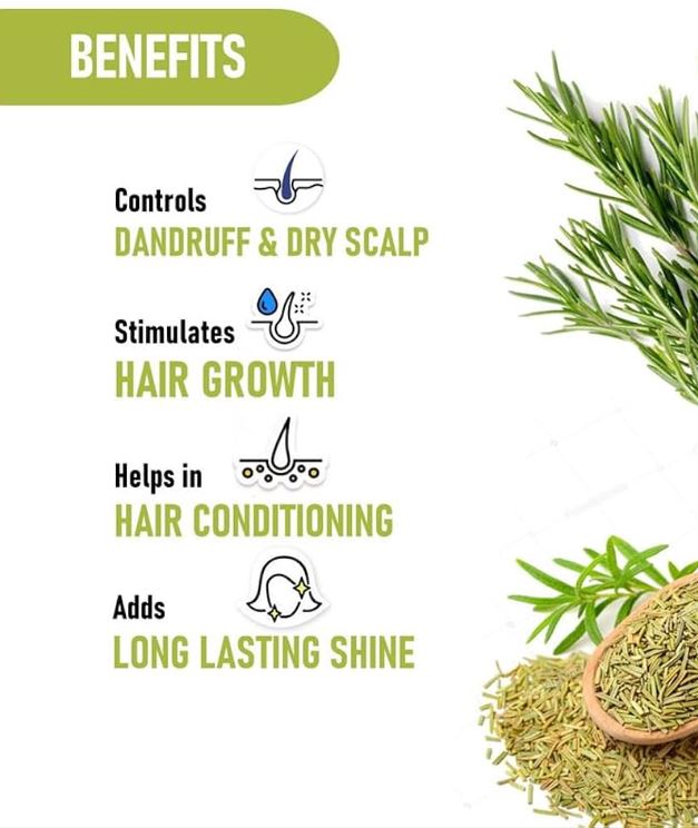Rosemary Leaves – Aromatic Herb for Health and Culinary Uses