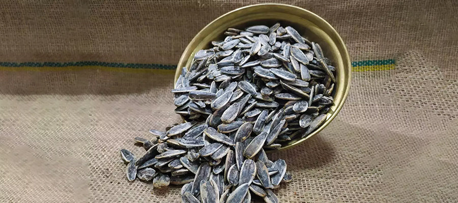 Sunflower Seeds - Surajmukhi ke beej