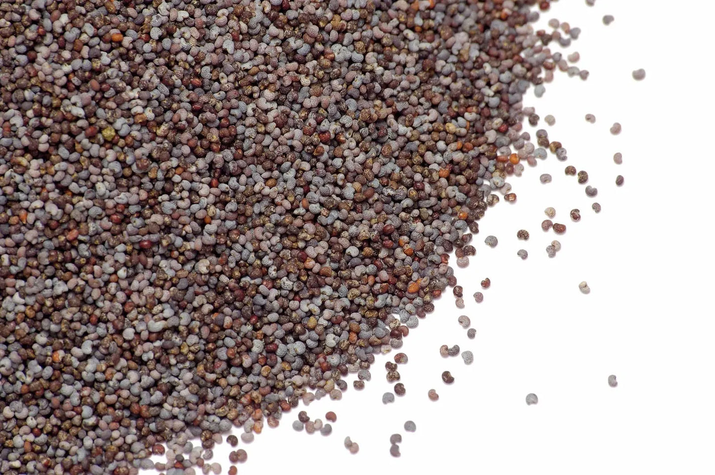 Premium Poppy Seeds - khashkhash