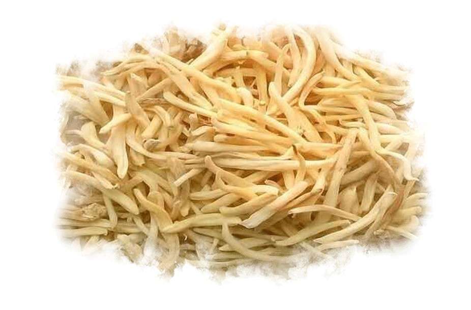 Musli Powder – Natural Enhancer for Vitality and Energy
